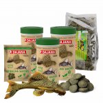 Dajana Spirulina Wafers 100 ml – Zboží Dáma