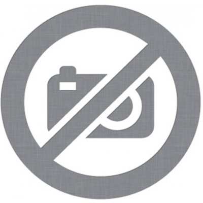 Šílená posedlost (2. vydání) - Danielle Lori – Sleviste.cz