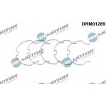 Dr.Motor Automotive DRM01289 – Hledejceny.cz