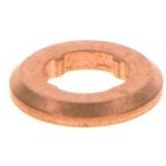 Těsnicí kroužek, tryska BOSCH F 00V P01 009 – Zboží Mobilmania