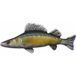 Gaby Polštář ryba Candát obecný 77 cm – Hledejceny.cz