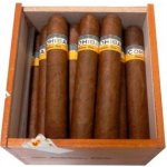 Cohiba Robusto 25 ks – Zboží Mobilmania