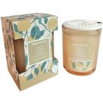 Provence CITRON LIMETKA 230G – Zbozi.Blesk.cz