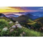 Dino Malá Fatra 500 dílků – Zboží Dáma