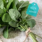 Essential 100 % Esenciální olej Máta peprná 10 ml – Hledejceny.cz