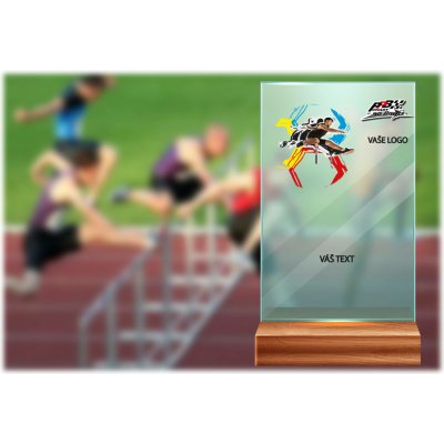 Skleněná trofej na dřevěném podstavci Překážkový běh Výška: 17 cm – Hledejceny.cz