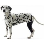 Kruuse Bandáž na koleno pro psa Rehab S Levá – Sleviste.cz