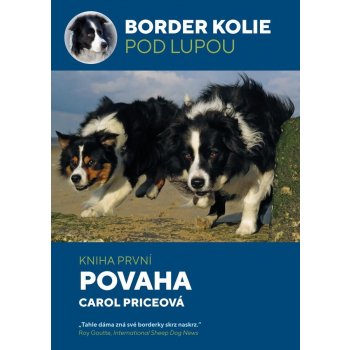 Border kolie - Carol Price