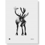 Plakát Reindeer 30x40 cm Teemu Järvi Illustrations – Zboží Dáma