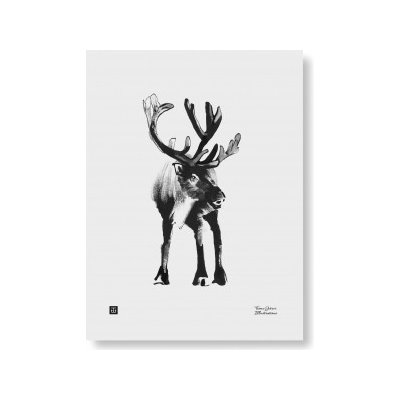 Plakát Reindeer 30x40 cm Teemu Järvi Illustrations – Zboží Dáma