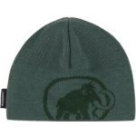 Mammut Tweak beanie Zelená – Hledejceny.cz