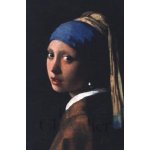 GIRL WITH A PEARL EARRING - CHEVALIER, T. – Hledejceny.cz