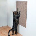 Trixie Škrábací deska XXL 50 x 70 cm – Hledejceny.cz