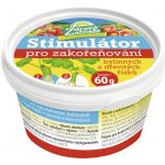 Zdravá zahrada Stimulátor pro zakořeňování bylinných a dřevitých řízků 60 g – Hledejceny.cz