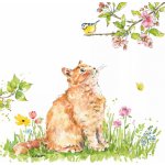 Ubrousek 33x33cm KOTĚ – Hledejceny.cz