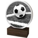 Poháry Bauer Dřevěná plaketa TFRW814 Fotbal – Sleviste.cz