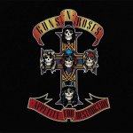 Guns N' Roses - Appetite For Destruction LP – Hledejceny.cz