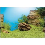 Juwel pozadí Poster 1 L Plant Reef 100 x 50 cm – Zboží Dáma