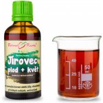 Bylinné kapky Jírovec plod + květ kapky tinktura 50 ml – Hledejceny.cz