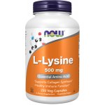 Now Foods Foods L-Lysine 500 250 tablet – Hledejceny.cz