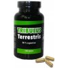 Fitness13 Tribulus Terrestris 100 tablet