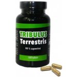 Fitness13 Tribulus Terrestris 100 tablet – Zboží Dáma
