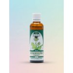 Naděje Ostropestřec mariánský z pupenů 50 ml – Hledejceny.cz