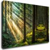 Obraz Impresi Obraz Paprsky slunce v lese - 90 x 60 cm