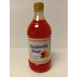 Moštěnický Sirup Grapefruit 700 ml – Zboží Dáma