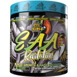 GNT EAA Essential Amino Acids Neuro focus Powder 300 g – Hledejceny.cz