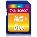 Transcend SDHC 8 GB Class 10 TS8GSDHC10 – Hledejceny.cz