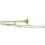 Roy Benson TT 242F Bb Tenor Pro Serie lak – Zboží Dáma