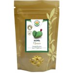 Salvia Paradise Nopál prášek 200 g – Hledejceny.cz