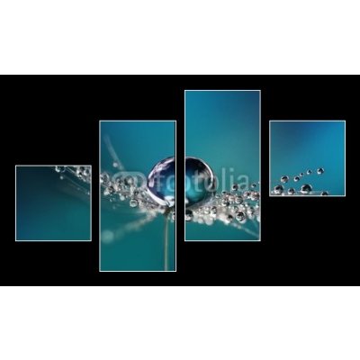 Obraz 4D čtyřdílný - 100 x 60 cm - Beautiful dew drops on a dandelion seed macro. Beautiful soft light blue and violet background. Water drops on a parachutes dandelion