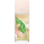 Elizabeth Arden Green Tea Pistachio Crunch toaletní voda dámská 100 ml – Hledejceny.cz