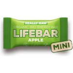 Lifefood Lifebar RAW BIO 25 g – Zbozi.Blesk.cz