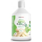 Czech Virus SuperVita Pro V2.0 pikantní zázvor 500 ml – Hledejceny.cz