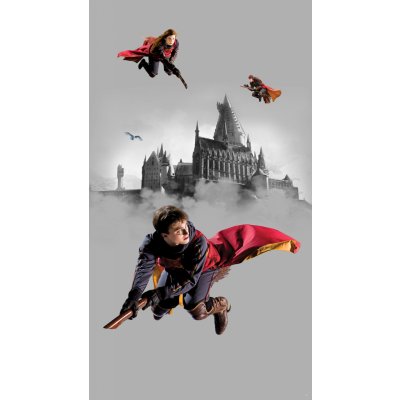 AG Design FTD2P 5613 Vliesová fototapeta Harry Potter rozměry 150 x 270 cm – Zboží Mobilmania