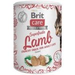 Brit Care Cat Snack Superfruits Lamb with Coconut 100 g – Hledejceny.cz
