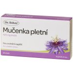 Dr.Bohm Mučenka pletní 425mg drg.30 – Hledejceny.cz