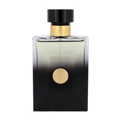 Versace Pour Homme parfémovaná voda pánská 100 ml – Hledejceny.cz