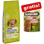 Purina Dog Chow Adult Sensitive Salmon 14 kg – Zboží Mobilmania