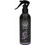 RRCustoms Bad Boys EZ Wiper 200 ml | Zboží Auto