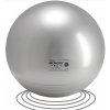 Gymnastický míč Gymnic Memory Ball 65cm