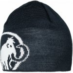 Mammut Tweak Beanie – Hledejceny.cz