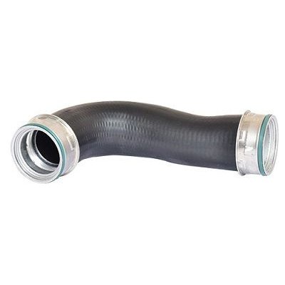 Hadička plnícího vzduchu BUGIAD 82668 | Zboží Auto