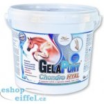 Orling Gelapony Chondro HYAL 1,8 kg – Hledejceny.cz