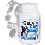 Orling - Chondrocan Forte 150 g – Hledejceny.cz