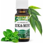 Saloos esenciální olej Euka-mint 10 ml – Zboží Dáma