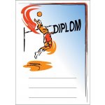 DV04b Diplom volejbal – Hledejceny.cz